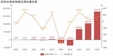 美錦能源2018年歸母凈利潤同比大增71.6% 焦炭產(chǎn)品及副產(chǎn)品貢獻(xiàn)利潤，能源管理優(yōu)化顯成效